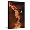 ART.COM Canvas Wall Art Prints Giraffe and Baby by Lantern
