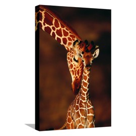 ART.COM Canvas Wall Art Prints Giraffe and Baby by Lantern Press, Animals Decor, 12" x 18"