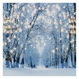 Allenjoy 6 x 6 FT Winter Forest Backdrop Wonderland Snowflake Photography Background Bokeh Glitter Snow Scene Christmas Party Decoration Tree Landscape Portrait for Photobooth Photo Studio