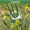 Secured Plastic Plant Clip, Plant Support Clips, Garden Clips for