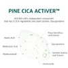 ROUND LAB Pine Calming Cica Ampoule