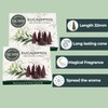 TRUMIRI Eucalyptus Incense Cones - Total 20 Cone Incense -