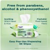 Equate Witch Hazel and Aloe Scent Flushable Wipes, 2 Flip-Top