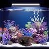 Bazayona Faeshoo Fish Tank Decoration Betta Fish Tank Decorations Accessories