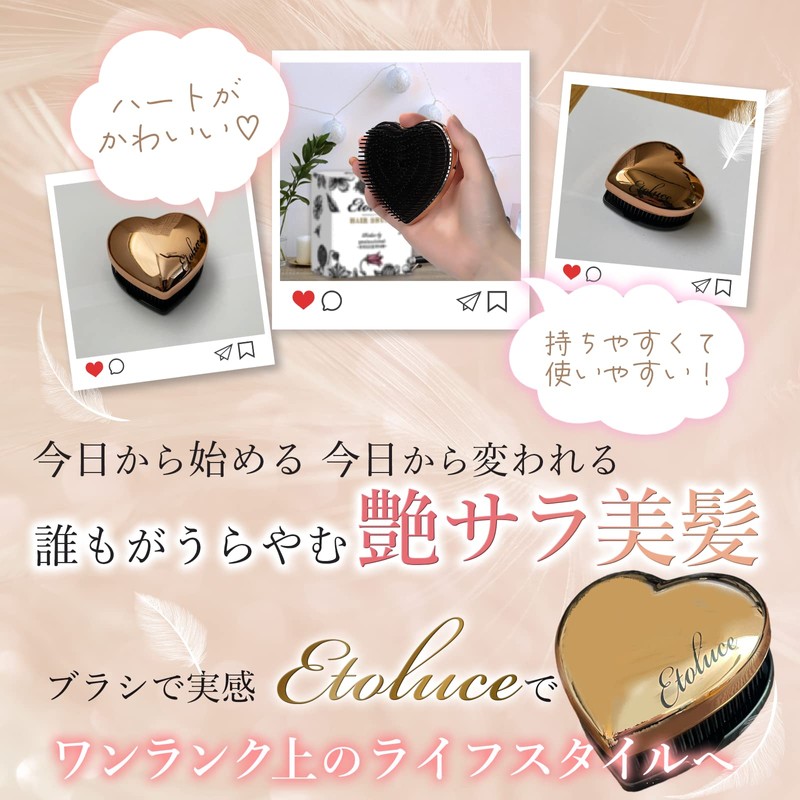 Etoluce Compact Hair Brush with Cover Comb, For Going Out,