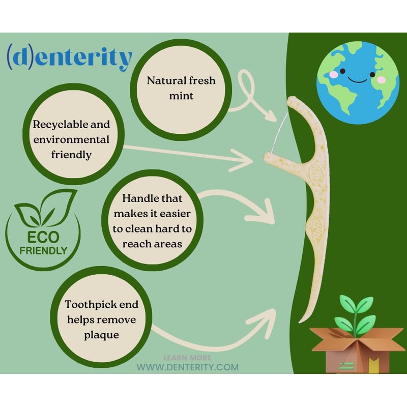 Denterity Biodegradable Dental Floss Picks, Earth Friendly Handle, Mint, 75ct