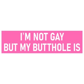I'm Not Gay But My Butthole Is Bumper Sticker Pink Funny Car Sticker I'm Not Gay But My Butthole Is Sticker Decal