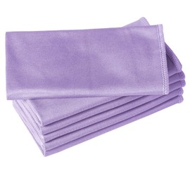 Puomue 6 Pack Microfiber Glass Cleaning Cloth, 16 Inch X 16 Inch, Lint Free Quickly Clean Window, Glasses, Windshields, Mirrors, and Stainless Steel, Purple