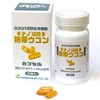 Nano Active Tropical Turmeric Capsules 239 mg x 90 Tablets