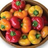 Hazzard's Seeds Pepper Hungarian Cheese Mix    100 seeds