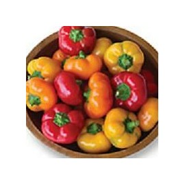 Hazzard's Seeds Pepper Hungarian Cheese Mix    100 seeds
