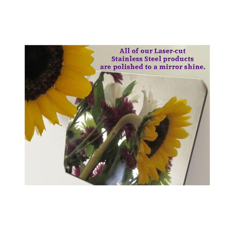 QAA is Compatible with 2002-2004 Ford Thunderbird 1 Piece Stainless