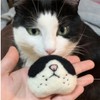 ayodixn Cat Whiskers Collection,Cat Memorial Fridge Magnet,Handmade Wool Cat's Nose