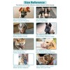 Basket Dog Muzzle for Large Medium Small Dogs, Cage Muzzles