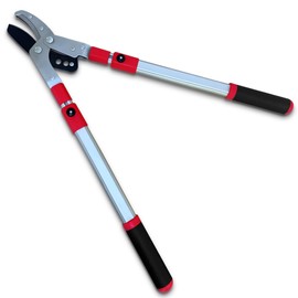 TABOR TOOLS GG22A Telescopic Extendable Anvil Lopper with Compound Action, 27-40 Inch Telescopic Tree Trimmer, Long Handled Branch Cutter with ⌀ 2 Inch Cut Capacity, Chops Thick Branches with Ease.