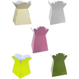 Inerra Florist Boxes - Mixed Pack of 5 Bouquet Living Vase Box - White, Cream, Pink, Yellow, Olive