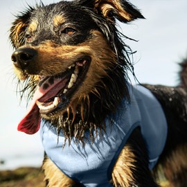 Hurtta Collection, Cooling Vest, Blue L