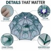 Collapsible Fishing Trap for Shrimp and Bait Fish – Foldable