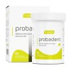 Dietary Supplement Probiotic Probiotics Tablets 30 for daily wellness routines,