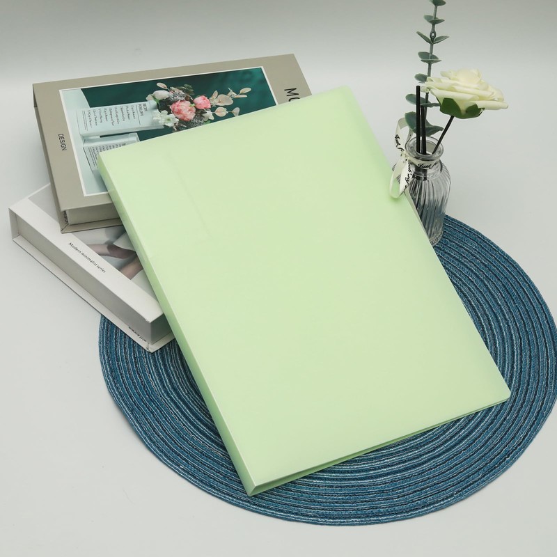 Lilaly 1 Pack Document Organizer Folio, Binder with Plastic Sleeves