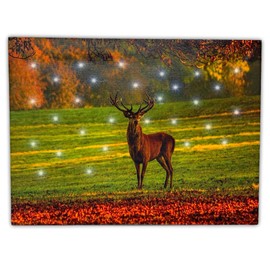 BANBERRY DESIGNS Lighted Deer Canvas Wall Art - LED Wildlife Print - Deer Buck in a Field - Wild Life Artwork - 12" x 16"