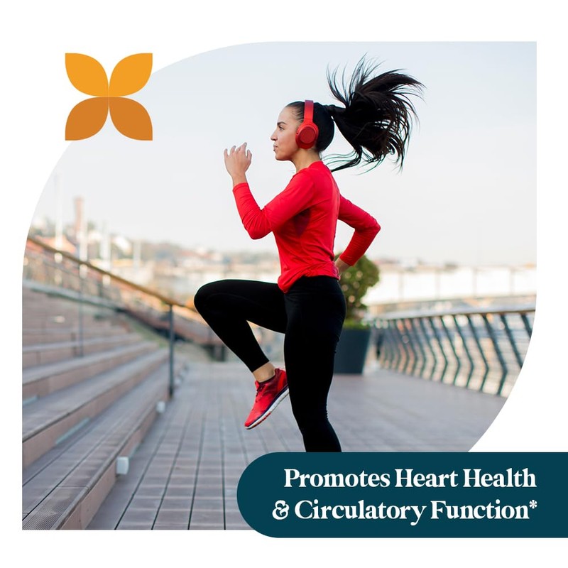 Pattern Wellness Cholesterol Complex Supplement - All-Natural Balancing Formula -