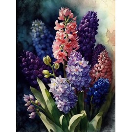 TUTUMAY21 Hyacinths Watercolor Vintage Flowers Diamond Painting Kits for Adults, DIY 5D Round Full Drill Diamond Art Very Suitable for Christmas Xmas Holiday Decor 12x16inch