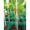 Seam Support Wide 2 Color Mixed SPW-P005 50 Count