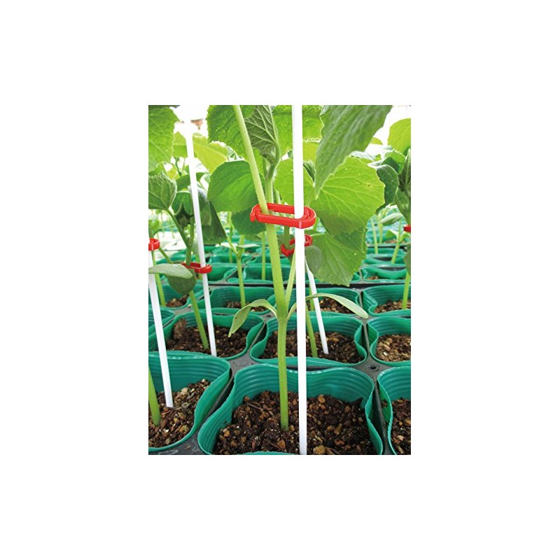 Seam Support Wide 2 Color Mixed SPW-P005 50 Count
