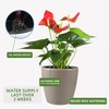 Dexceder 15x14 Self Watering Planter with Wheels Indoor Outdoor, Inner