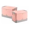 Trixter Caja Almacenamiento Plegable 2pzs Organizador Hogar Con Tapa