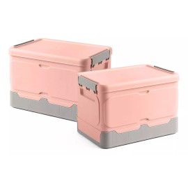 Trixter Caja Almacenamiento Plegable 2pzs Organizador Hogar Con Tapa