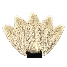 Celebrations LED LT STRNG WW C9 25CT