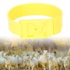 10Pcs Goat Collar Sheep Identification Bands Livestock Marking Ring Farming