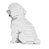 JEKCA Toy Poodle 03S-M01