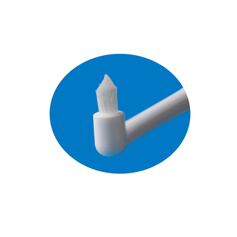 Lion Dental Material Dent EX Implant Care OT, 1 Pack