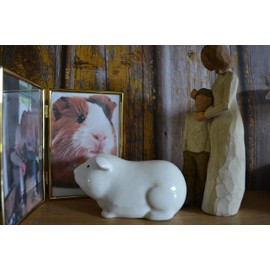Rainbowbridge Ceramic Guinea Pig Urn For Ashes - Pet Bereavement Gifts - Ashes Keepsake Memorial/Pet Urns…
