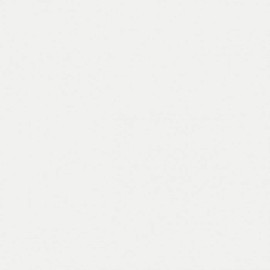 ORACAL 651 Self Adhesive Sign Vinyl 24" x 10Yd, Banners Decals Stickers - Matte White