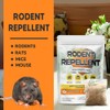 LEBMP Rodent Repellent, Mouse Repellent Pouches, Mice Repellent Indoor, Mouse