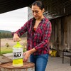 RESCUE! Fly Trap Max Bundle - Large Reusable Outdoor Traps