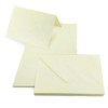 Netuno 25 Folding Cards Blank with Envelope DIN B6 Cards