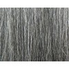 Foxy Silver (Ds13) - Heat Resistant Fiber Ponytail in 44