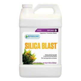 SILICA BLAST 1GAL