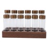 12pcs Coffee Bean Storage Tubes Glass Sealed Dosing Coffee Bean