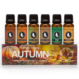 Eternal Essence Oils Autumn Set of 6 Premium Fragrance Oils - Includes Sexy Cinnamon Clove, Salted Caramel Pumpkin, Spiced Caramel Pear, Tobacco Vanilla, Pine, and Caramel Scented Oils - 10ML