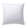 Billerbeck Cuddly Pillow D/F - Cushion in 40 x 40