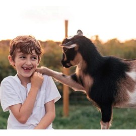 Caprina Fresh Goat's Milk Soap Original Formula, 16x110g bars, 1.76kg/62 oz