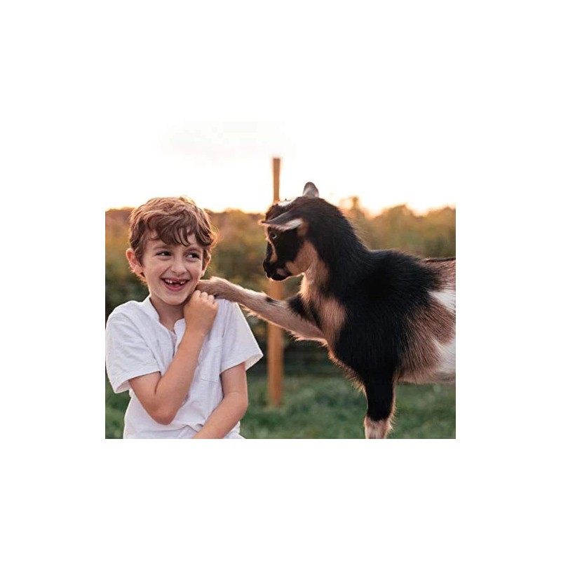 Caprina Fresh Goat's Milk Soap Original Formula, 16x110g bars, 1.76kg/62