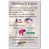 Newton's Laws - NEW Classroom Physics Science Poster