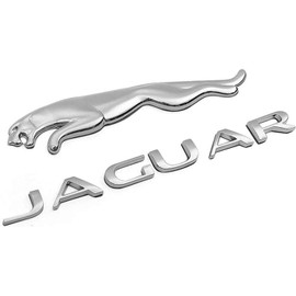 Compatible with Ja Rear Emblem Trunk Emblem Rear Letter Sticker Fender Decal for XE XF XJ F-Type F-PACE Accessories (Rear-Silver)